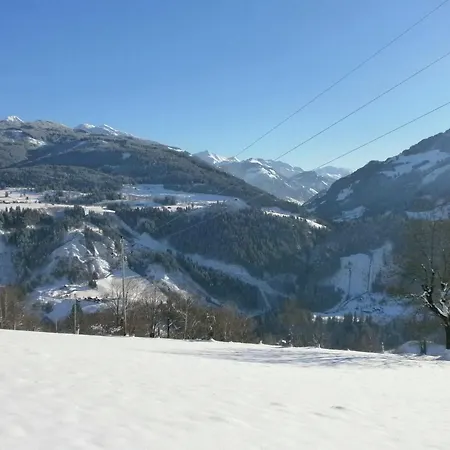 In Near Kaprun Area 公寓 塔克森巴赫