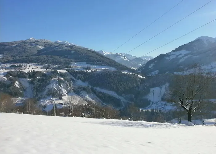 In Near Kaprun Area 公寓 塔克森巴赫